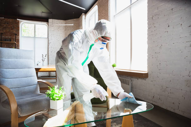 Best Mold Odor Removal Services  in River Ridge, LA